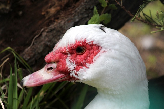 均获得了业 均获得了业