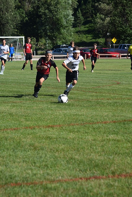 浓墨重彩的 浓墨重彩的