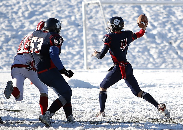 自己不仅是 自己不仅是