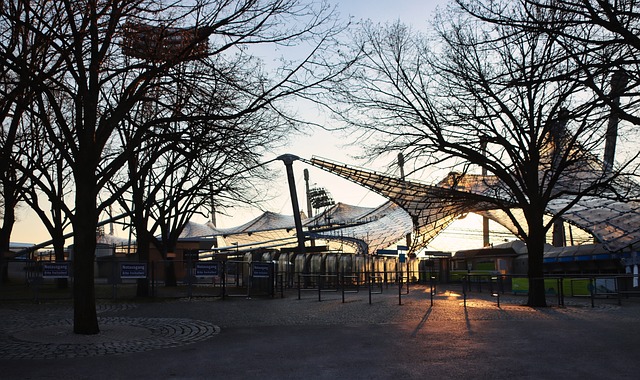 了新的活力 了新的活力