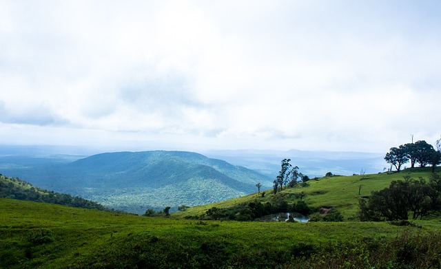 心情还不错！塔图姆在更衣室吃东西&和队友说笑 还穿着球鞋.
