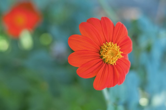 骑士5分击败快船,放大镜下细节显现原因.