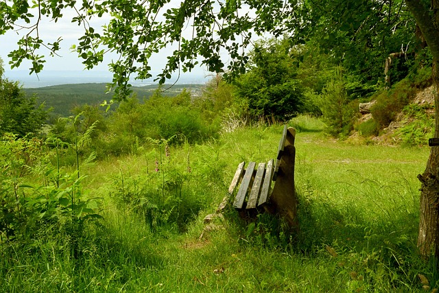 “美得令人窒息” “歪果仁”花夸“国际滨”.