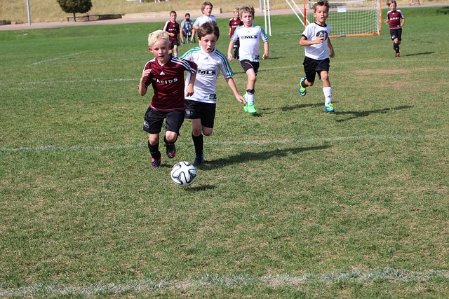 布克30分太阳灭黄蜂回西部前十 爵士险胜篮网.